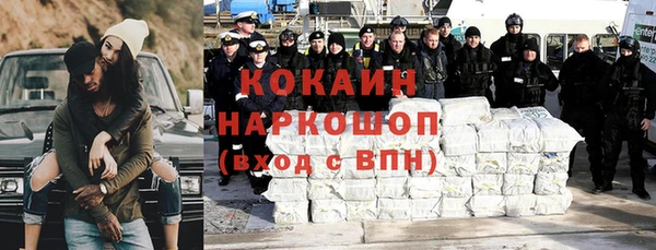крисы Шадринск