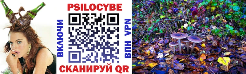 Псилоцибиновые грибы мухоморы  наркота  Валуйки 