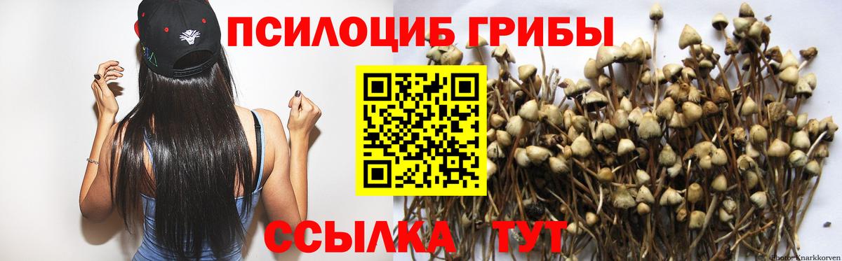 купить закладку  Псилоцибиновые грибы прущие грибы  Вход с VPN  Валуйки 